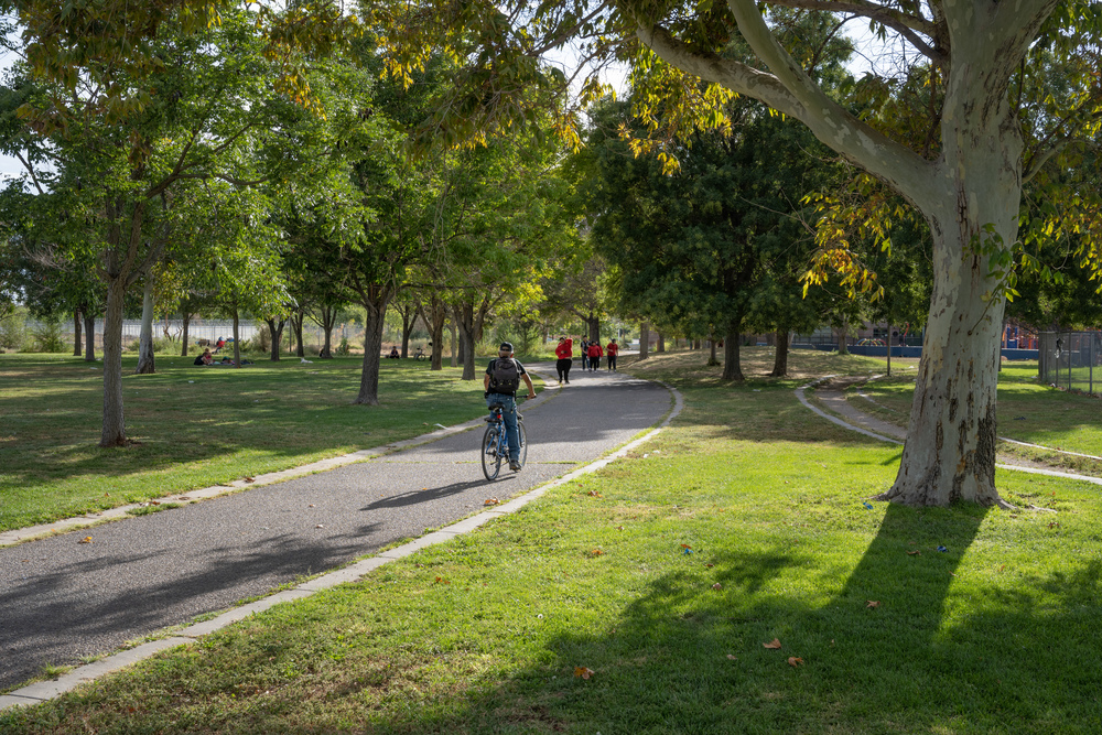 Biker and pedestrians on paved path through grassy park dotted with trees