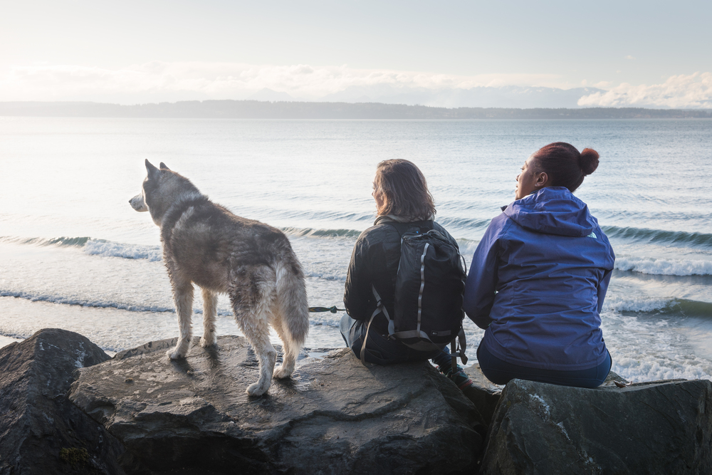 Two women and a gray dog sitting on rocks overlooking a bay or lake
